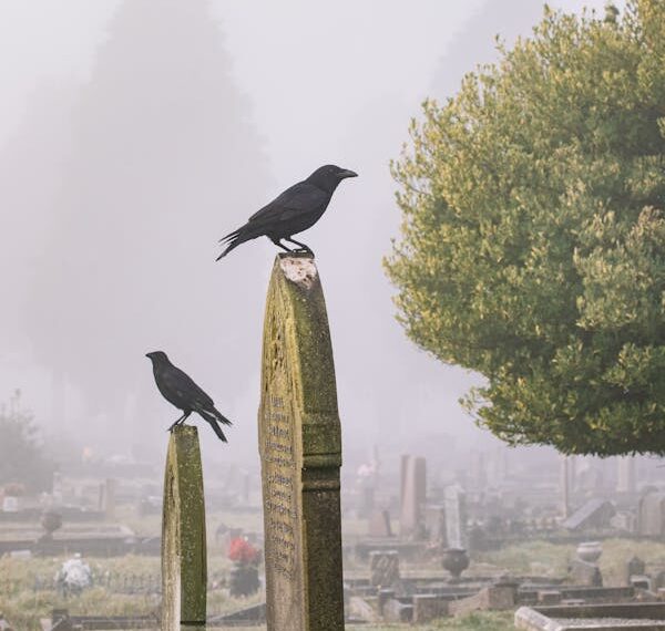 Gayb / Ömür Durmuş