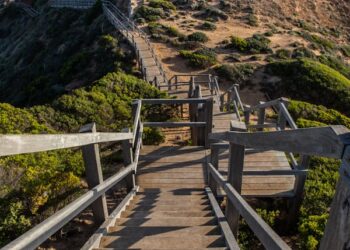 Halime / Ayşe Karasu