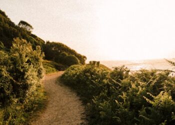 Dağlarca Yokuş / Anıl Mansuroğlu