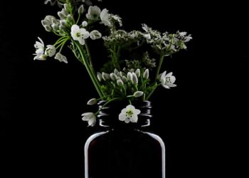 Olanca Ateşimle / Adem Tok