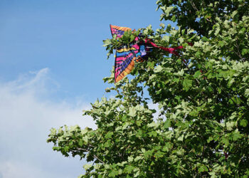 Uçurtmanın Sevdası / Sevgi Toplu