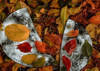 Kırık Ayna / Nur Lavinia