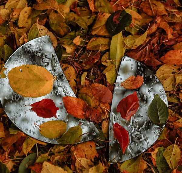 Kırık Ayna / Nur Lavinia