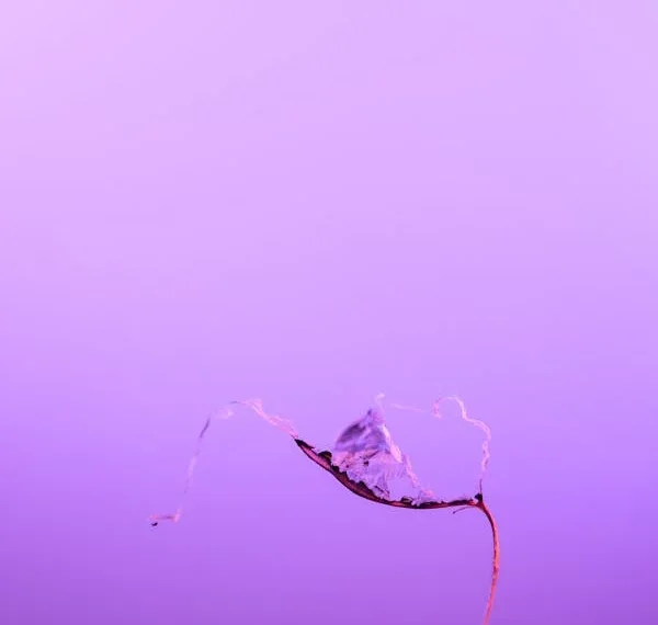 Yaşam Morcadelesi / Galip Uçar