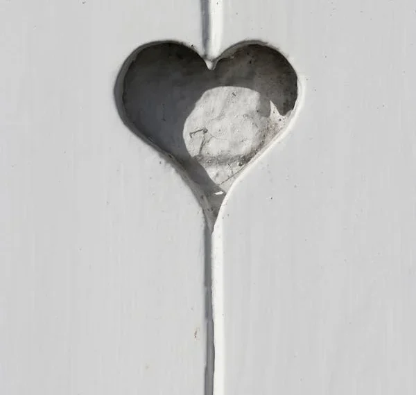 Boşluk / Hanife Şişman