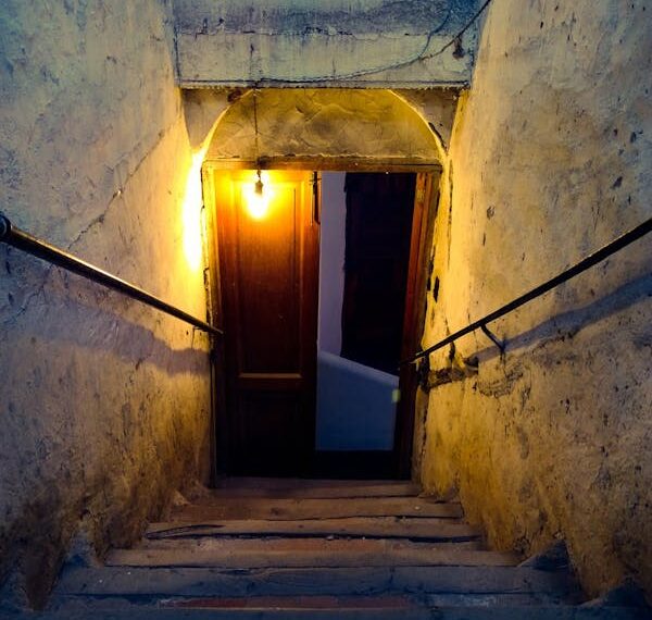 Kapılar Şehri / Murat Halıcı