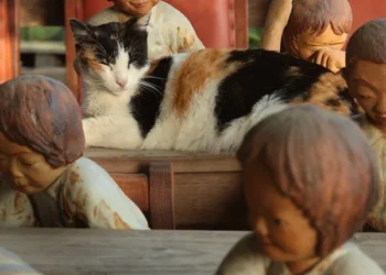 Sanat Hayatın Tamamıdır / Mualla Sabır Güven