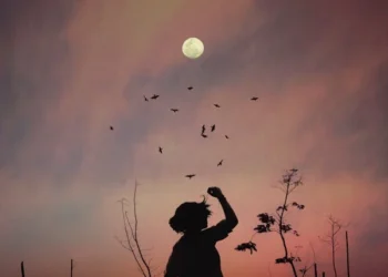 Hilal ve Işık / Nur Lavinia