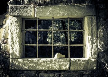 İlk Gecikme / Adem Tok