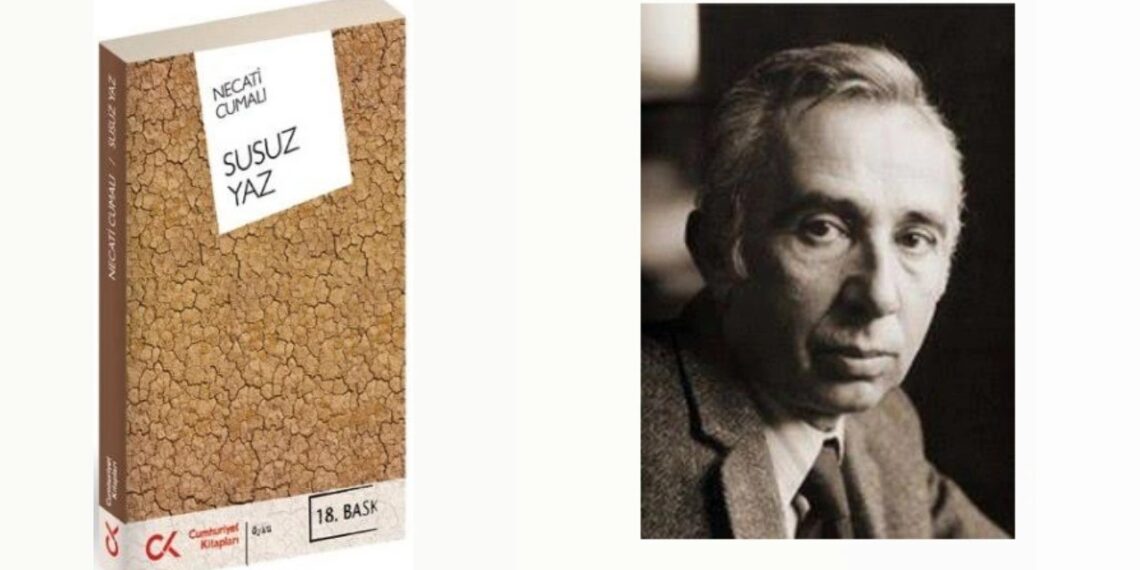 Susuz Yaz / Pelda Demir Öztürk