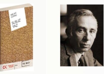 Susuz Yaz / Pelda Demir Öztürk