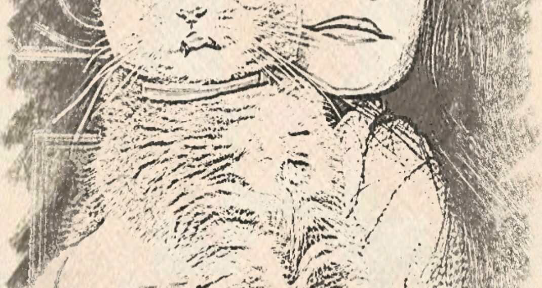 Adına Bergüzar / Adem Tok