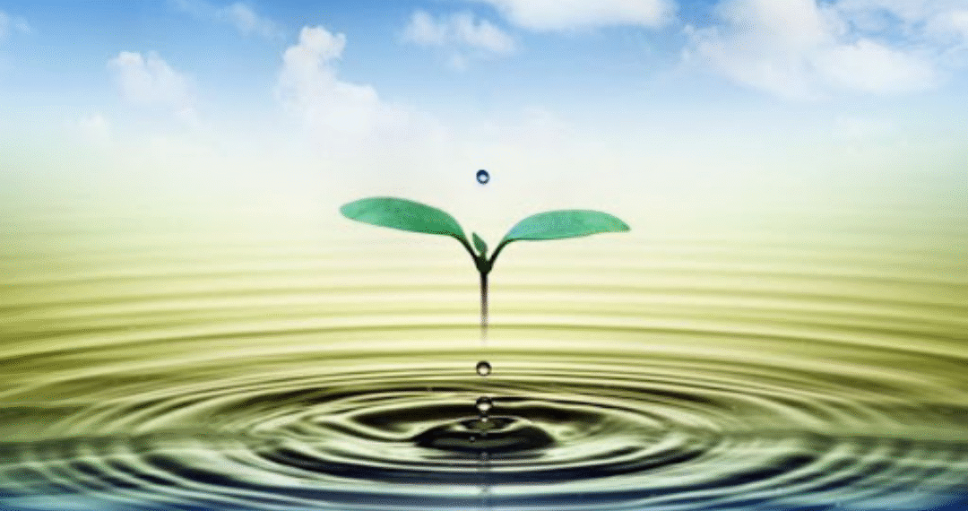 Hayatta Hiçbir Şey İçin Geç Değildir / Fatma Özkıray