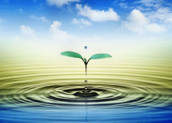 Hayatta Hiçbir Şey İçin Geç Değildir / Fatma Özkıray