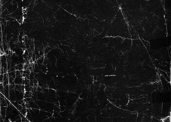 Ömür Defterim / Figen Günlü