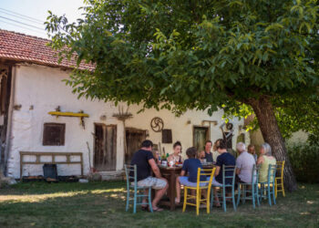 Ihlamur Kokusu / Müjgan Ersuna