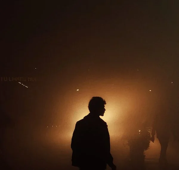 Aşkın Kuytu Gölgesi / Nur Lavinia