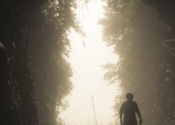 Nasip / Feyzullah Fatih Çankara