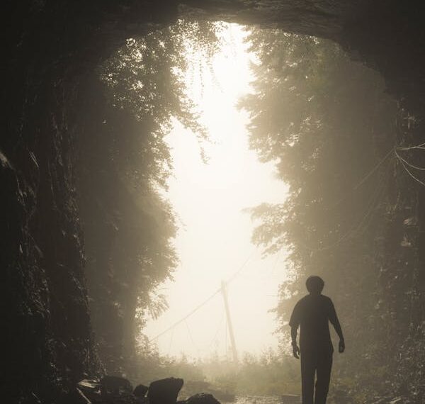 Nasip / Feyzullah Fatih Çankara