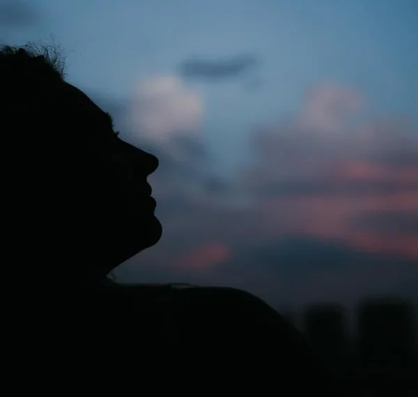 Suskun Serzeniş / Nursel Çamcı