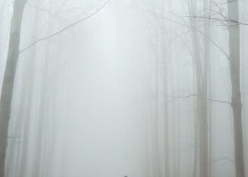 Bu Sonbahar / İsmail Aykut