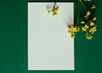 Her Şey Yazılabilir mi Bir Beyaz Kağıda? / Ali Kemal Alagöz