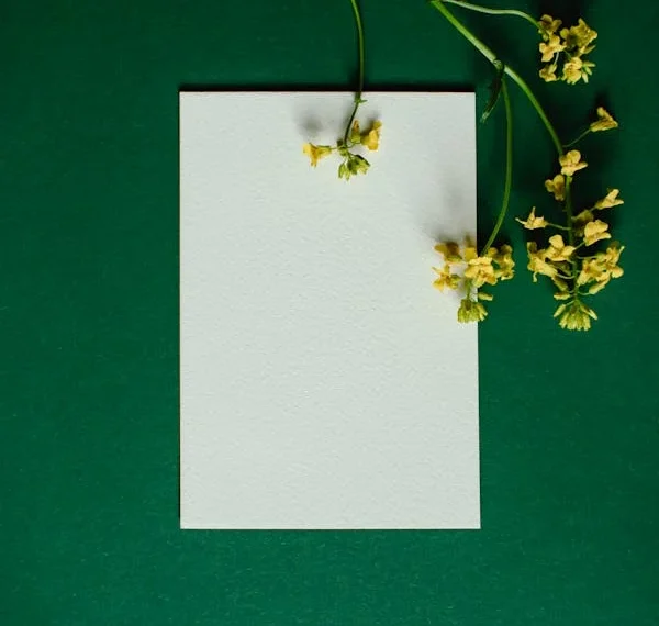 Her Şey Yazılabilir mi Bir Beyaz Kağıda? / Ali Kemal Alagöz