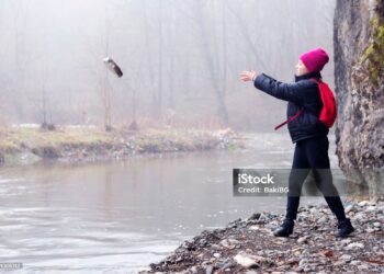 Görüyor  Musun? / Fevziye Şimdi