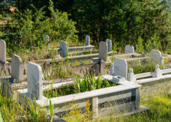 Gittiğinde Anladım / Ayfer Kayaaltı