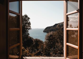 Penceremdeki Şehirde Kahverengi Düşler / Galip Uçar