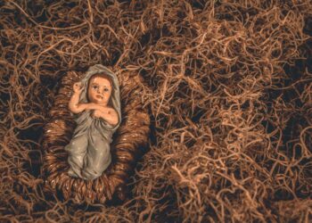 Doğum  / Serdar Epözdemir