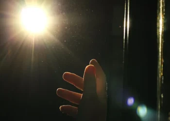 Söyleyin Ahâli Gelecek Nedir? / Aurora Polarsi