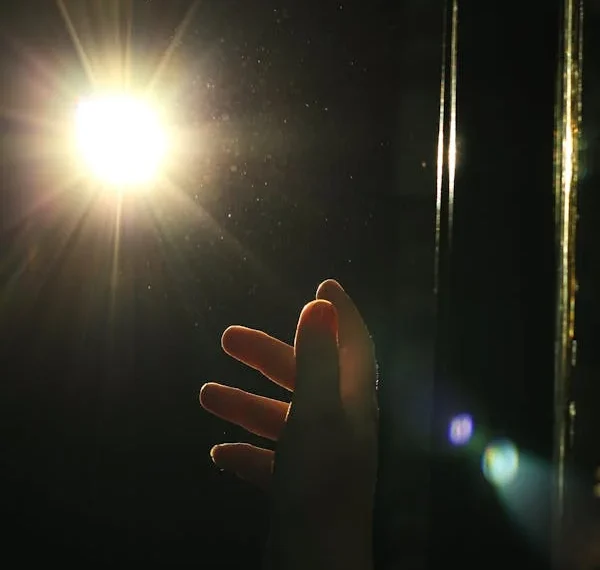 Söyleyin Ahâli Gelecek Nedir? / Aurora Polarsi