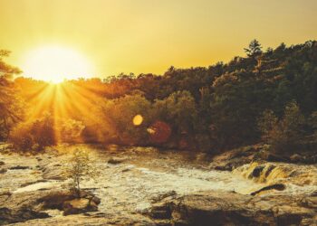 Tuana /  Birsen Tatar  Kılıç