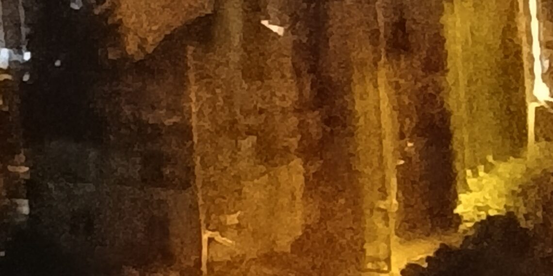 Kaybolan / Bekir Dalgıç