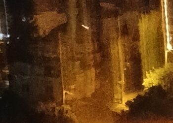 Kaybolan / Bekir Dalgıç