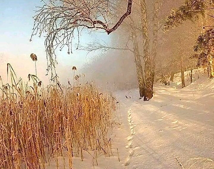 Gece Kelebeği / Yetimler Ağıdı