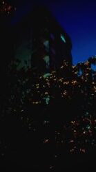 Sadece Aşk / Bekir Dalgıç