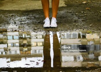 Şafağın Yolcusu /  Binnaz Deniz Yıldız