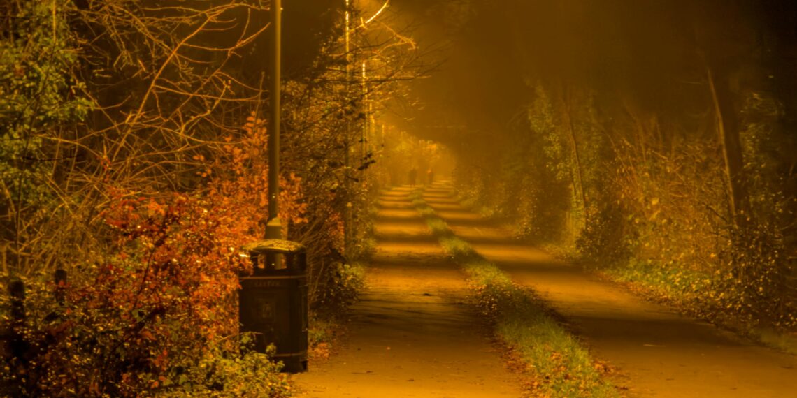 Çıkmaz Sokak / Sophia Jamali Soufi