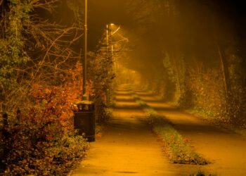 Çıkmaz Sokak / Sophia Jamali Soufi 