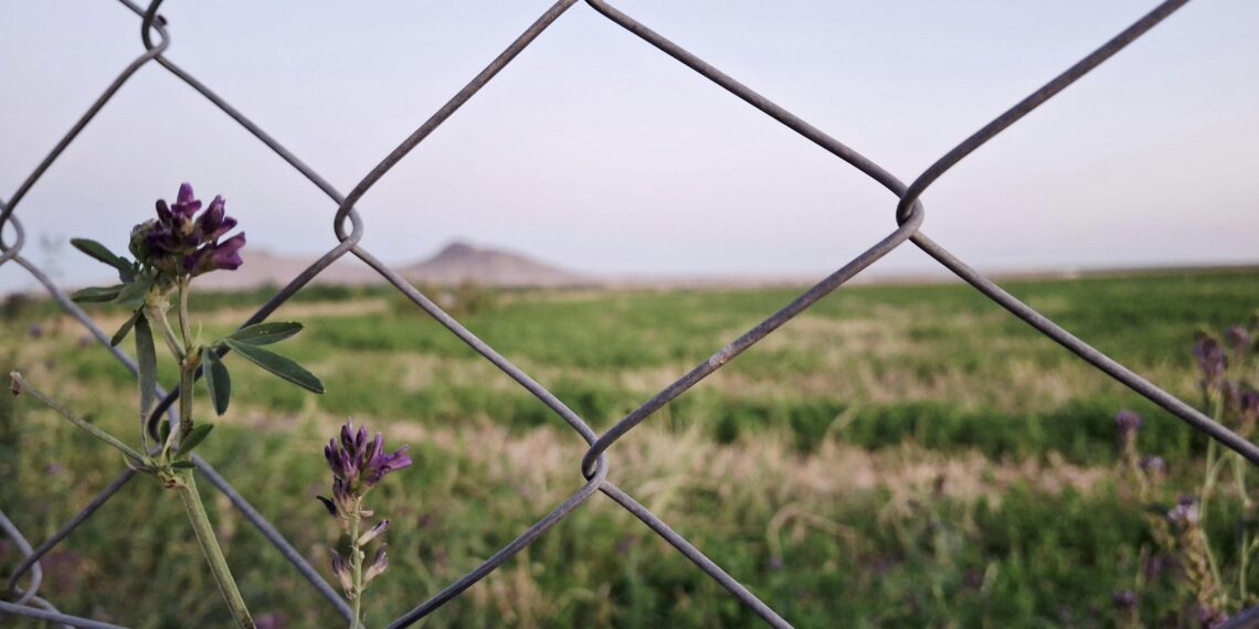 İçimizdeki Sessizlik  / Leyla Güven