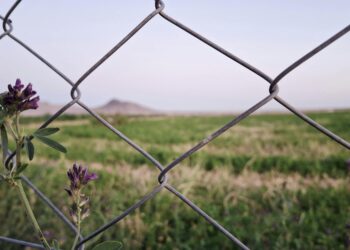 İçimizdeki Sessizlik  / Leyla Güven