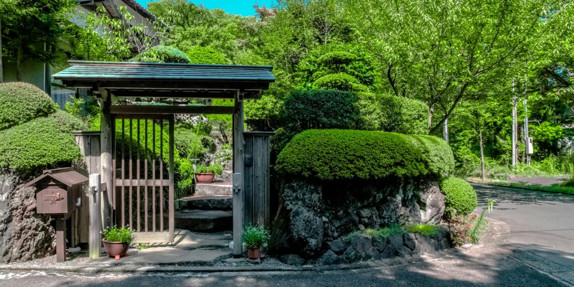 Yavaş Yavaş / Mehmet  Aluç