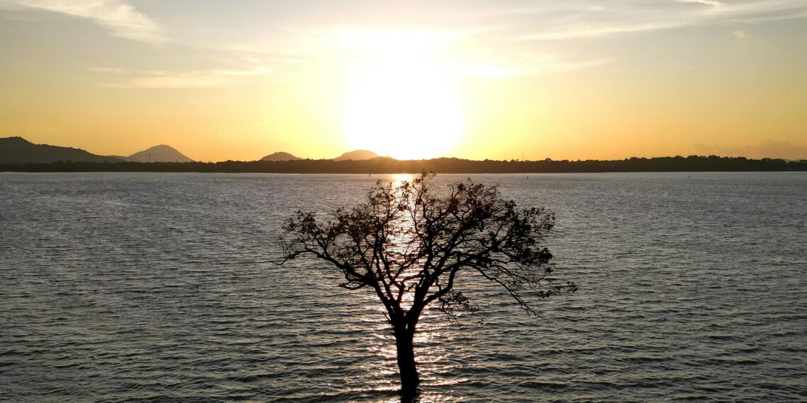 İçimizdeki Sessizlik / Leyla Güven