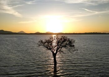 İçimizdeki Sessizlik / Leyla Güven
