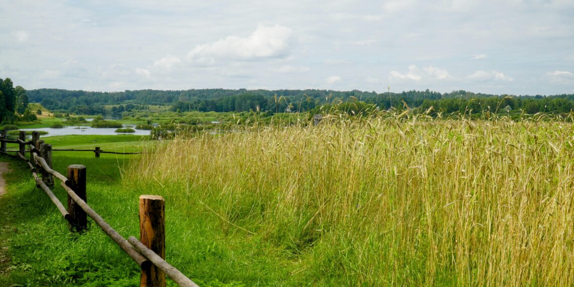 Memleket Çayırı / Ezel Altunışık