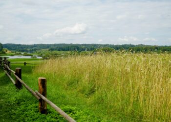 Memleket  Çayırı / Ezel Altunışık