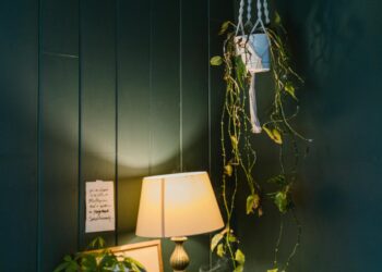 Almenya  / Kerim Tanış 