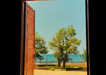 Mutluluğun Kavuşması / Elif  Uygun